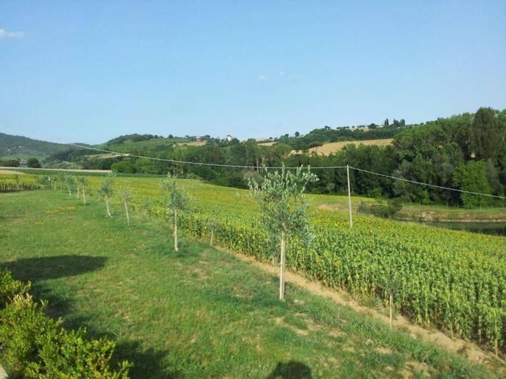 Agriturismo La Collina Del Sole Coltavolino Luaran gambar
